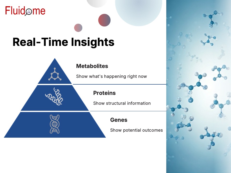 Real-Time Insights