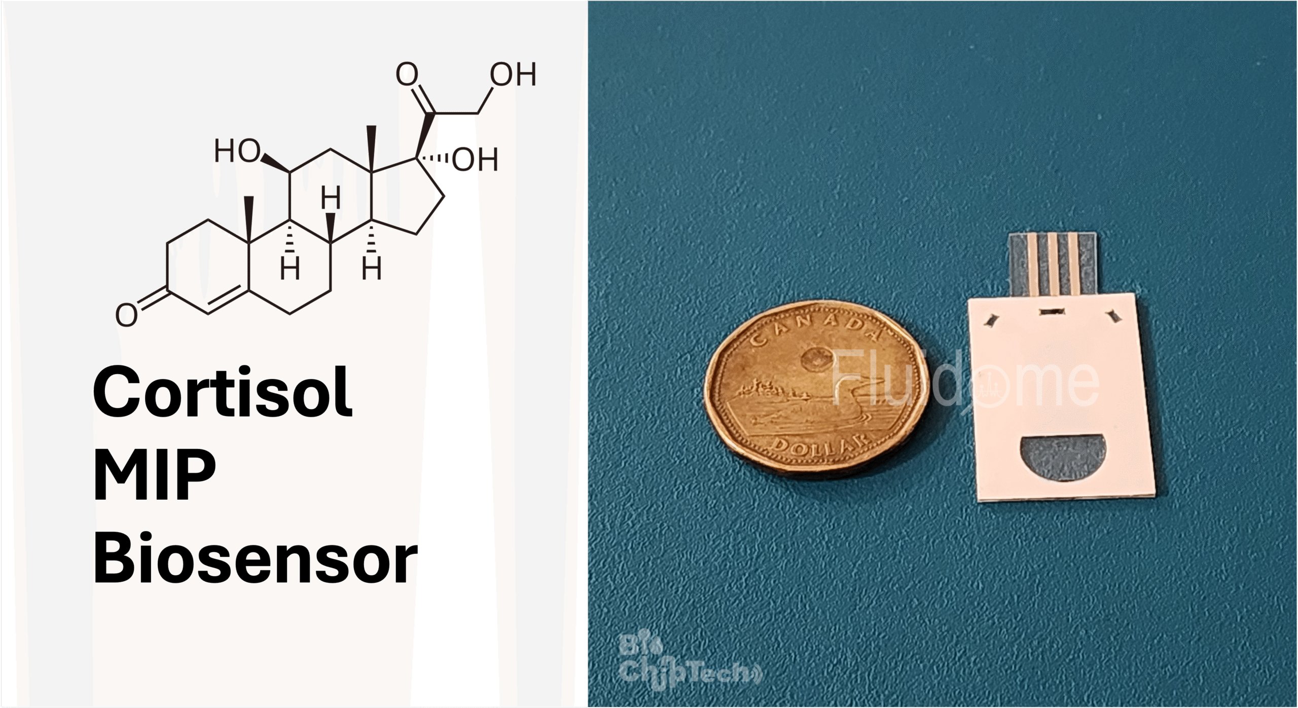 Cortisol MIP Biosensor (RUO)