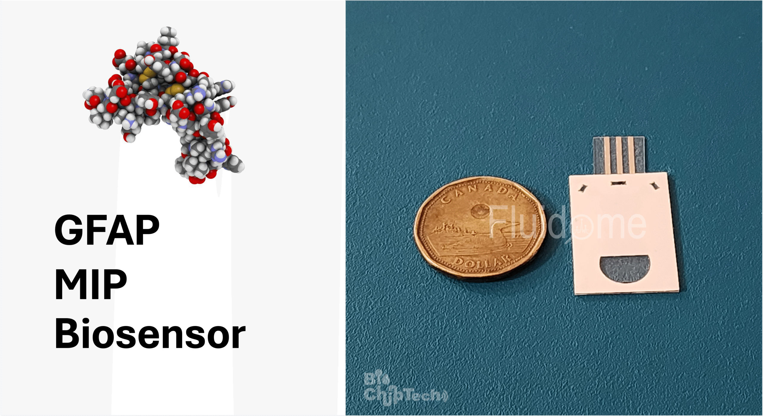 GFAP MIP Biosensor (RUO)